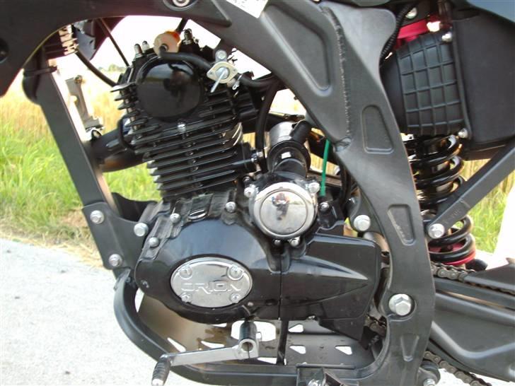 Apollo Orion   DD (solgt) billede 13