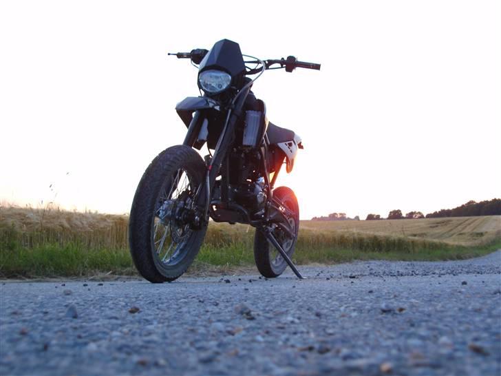 Apollo Orion   DD (solgt) billede 14