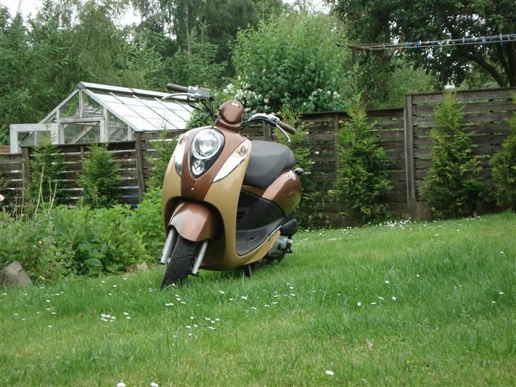 Sym Mio 50 billede 1