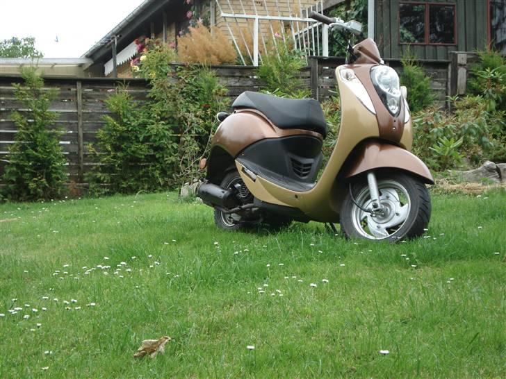 Sym Mio 50 billede 2