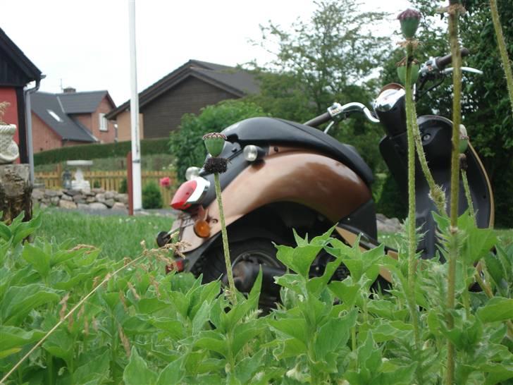 Sym Mio 50 billede 4