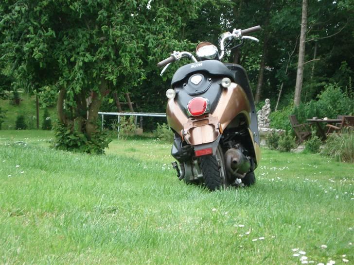 Sym Mio 50 billede 5