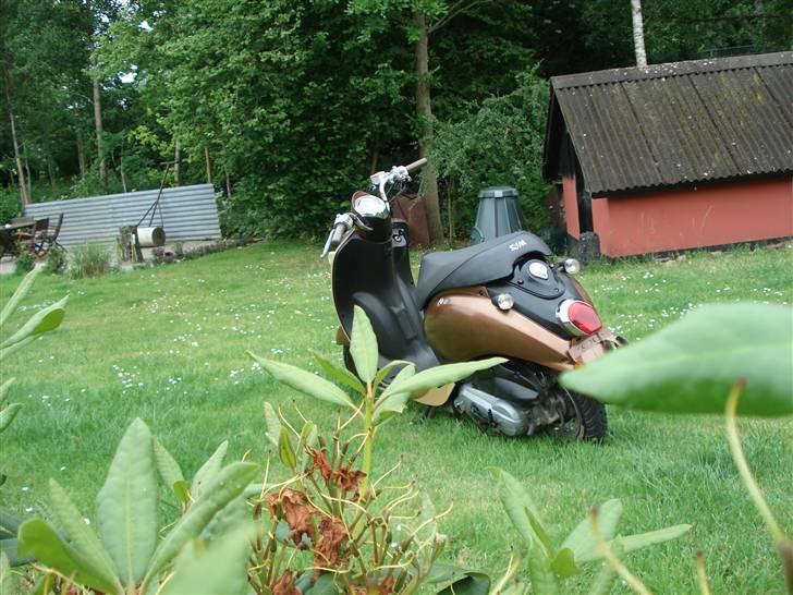 Sym Mio 50 billede 6