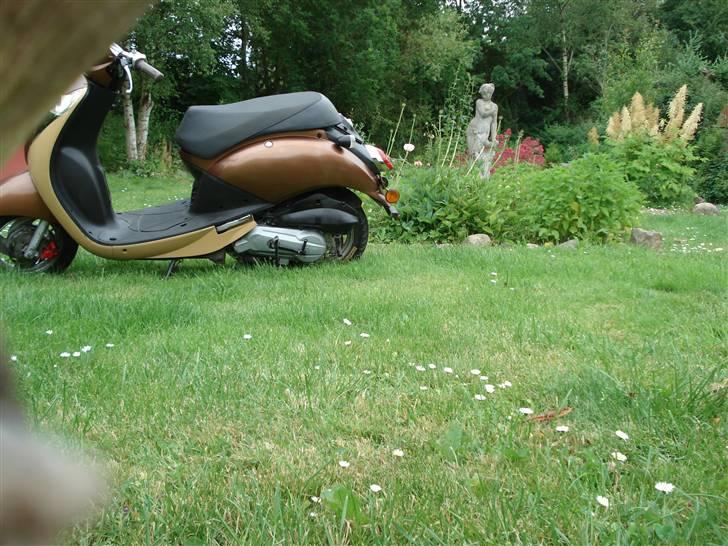 Sym Mio 50 billede 7