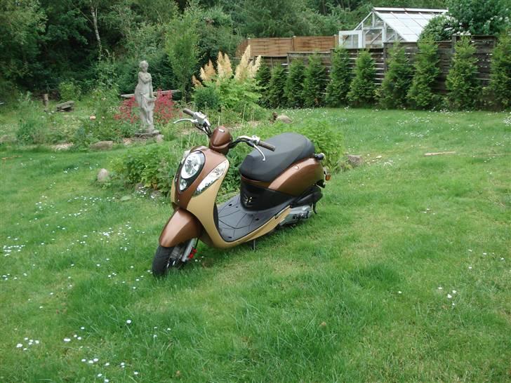 Sym Mio 50 billede 8