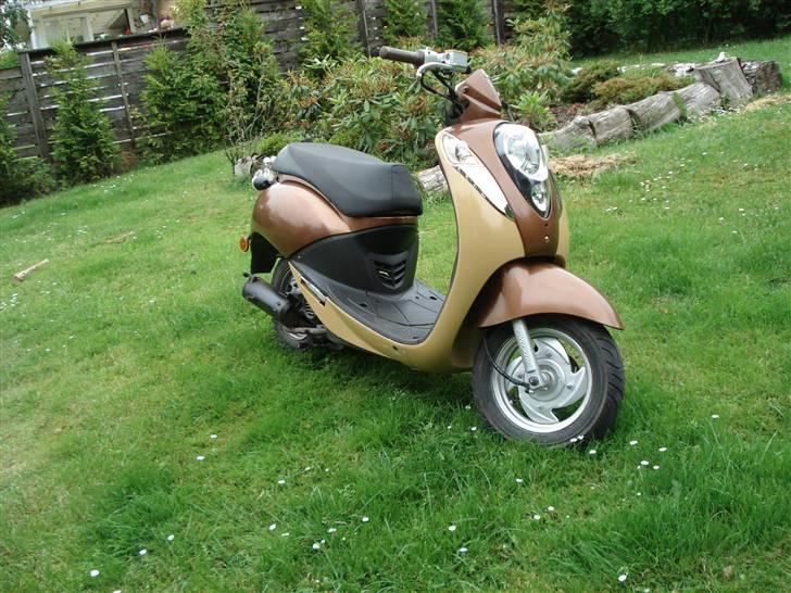 Sym Mio 50 billede 11