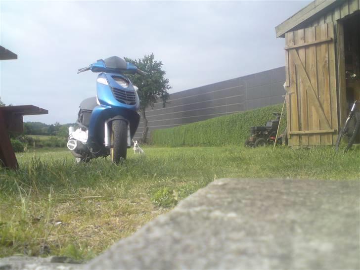 Aprilia Sonic LC SM SD HK BR QQ - lige da jeg fik den  billede 7