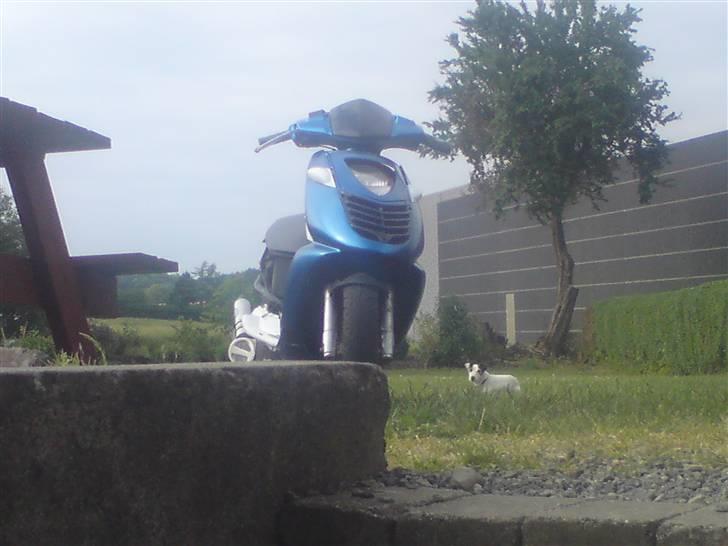 Aprilia Sonic LC SM SD HK BR QQ - lige da jeg fik den  billede 8