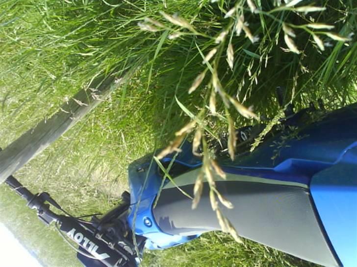 Derbi Senda SOLGT billede 8