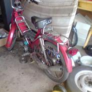 Puch maxi kl