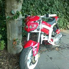 Suzuki Street Magic AC/SD SOLGT