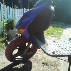 Adly Silverfox solgt. 