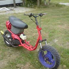 Adly silverfox/hot SOLGT