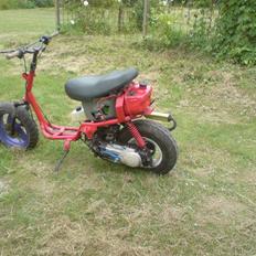 Adly silverfox/hot SOLGT