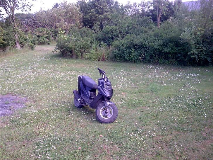 PGO hot 50 byttet til bws billede 10