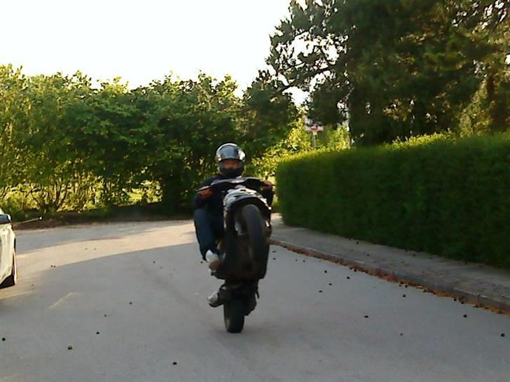 Gilera S6R stalker solgt billede 11