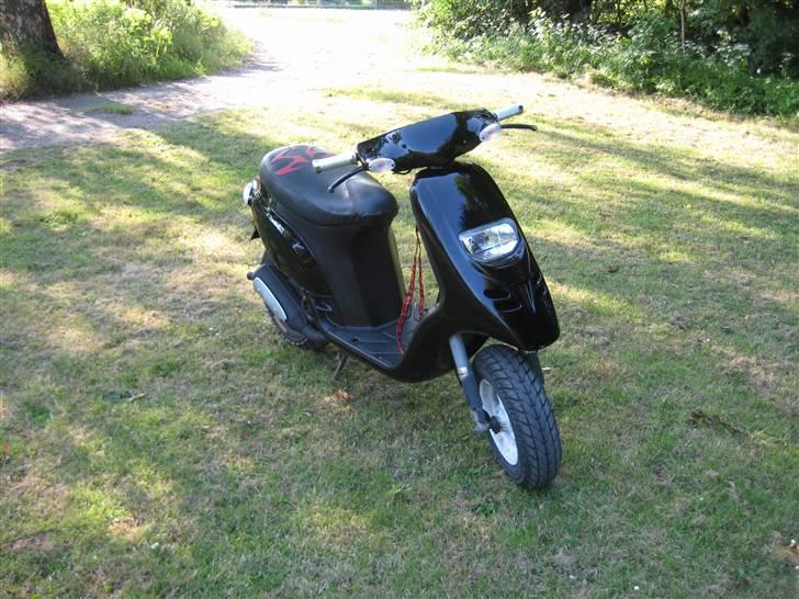 Piaggio Typhoon billede 3