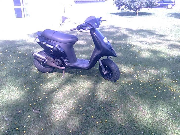 Piaggio typhoon billede 1