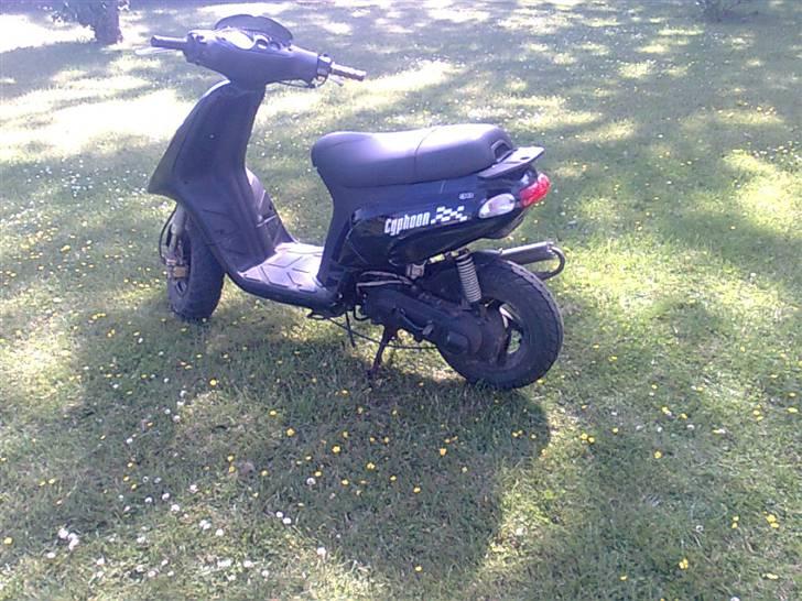 Piaggio typhoon billede 3