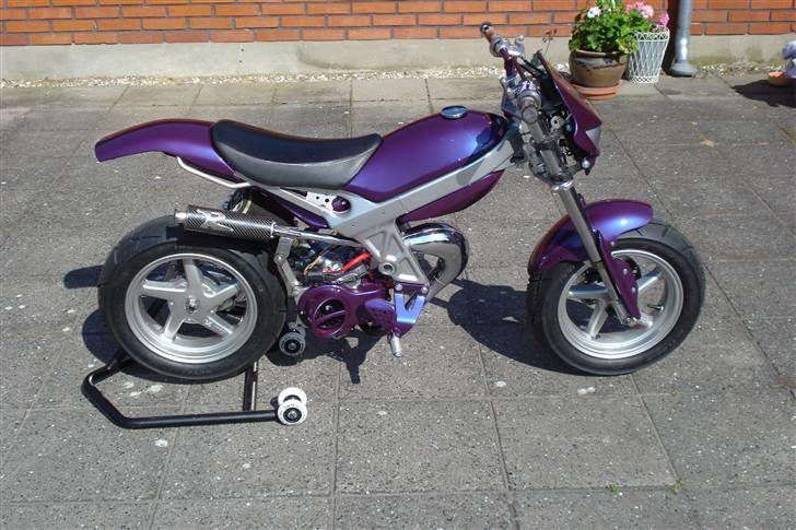 Suzuki Street Magic SOLGT billede 12