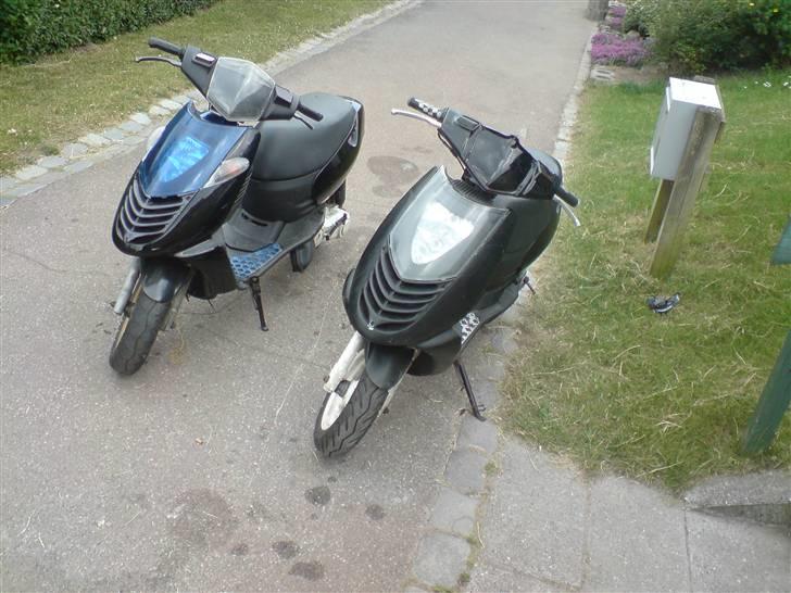 Aprilia sonic billede 2