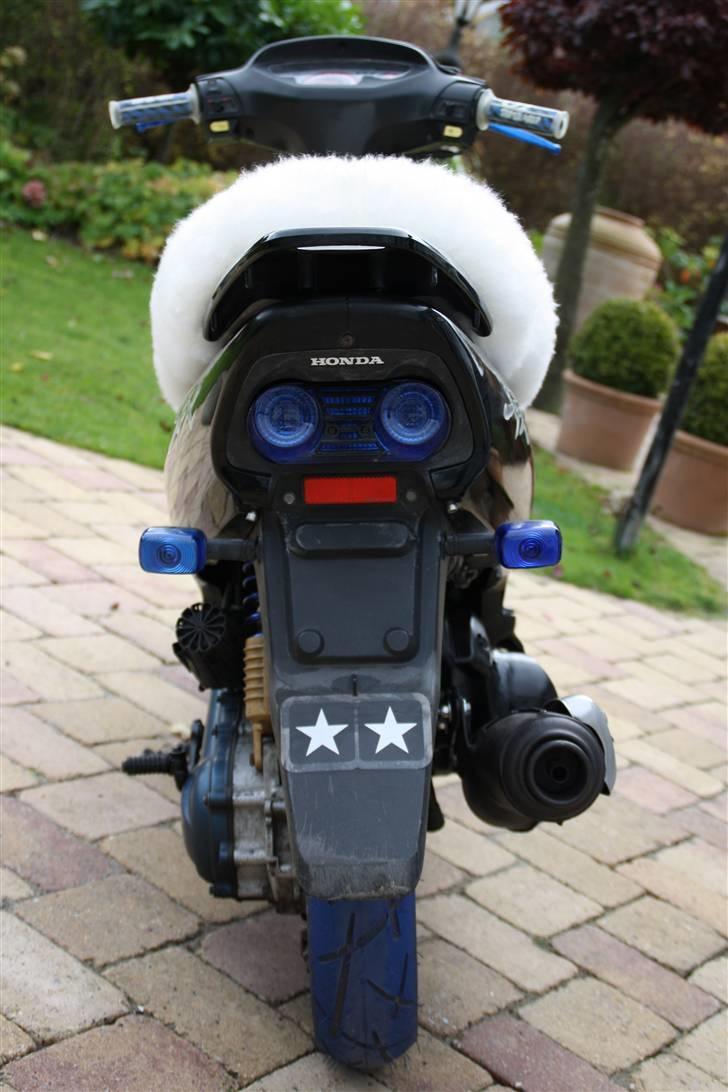 Honda Sfx billede 9