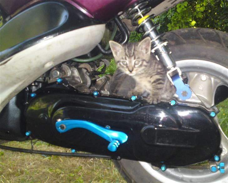 Yamaha Neos Byttet for 2 nrg.. - Hehe.. Jaah den kravlede sku selv op;) billede 10