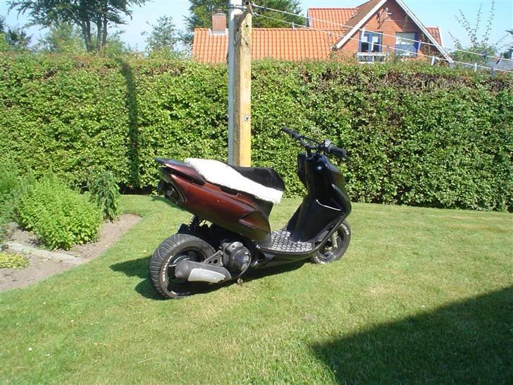 Honda Sfx Kæmillion Byttet - Nyt billede 13