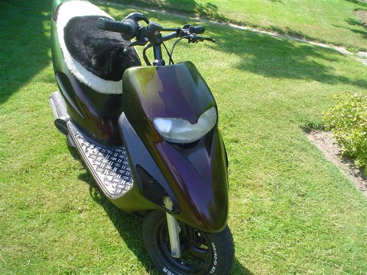 Honda Sfx Kæmillion Byttet - Nyt billede 14