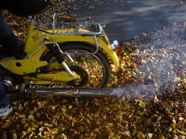 Puch maxi  --SOLGT-- :`( - brænder i bladende..  haha billede 6