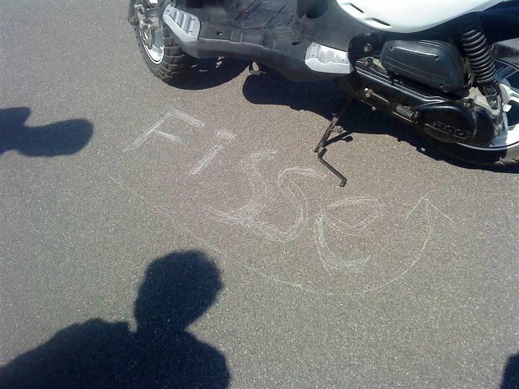 PGO PMX Sport billede 7