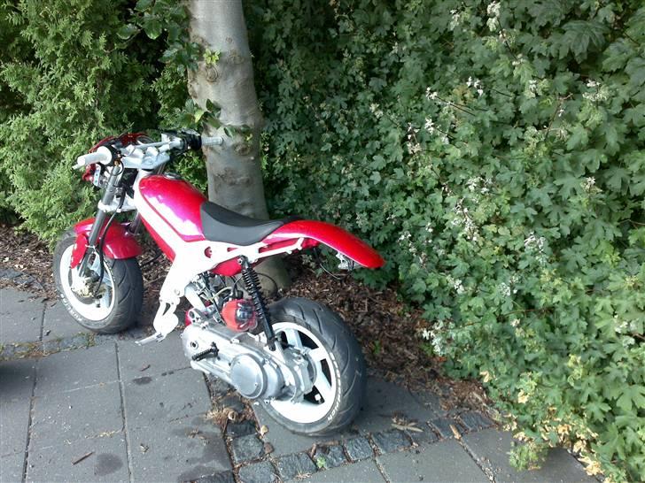 Suzuki Street Magic AC/SD SOLGT billede 7