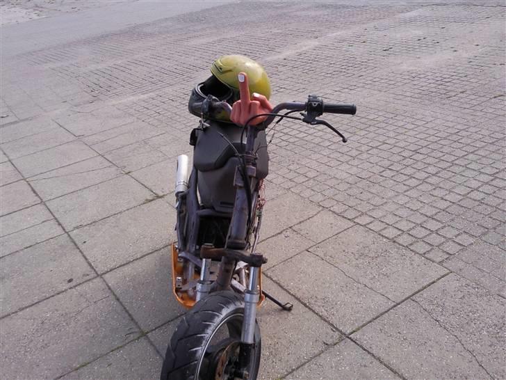 Derbi hunter stjålet billede 3