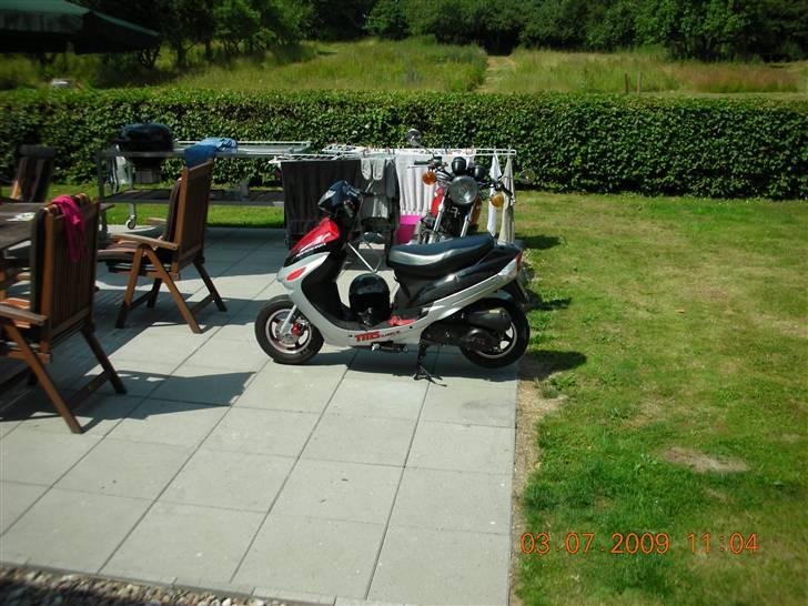 TMS classik 50cc billede 10