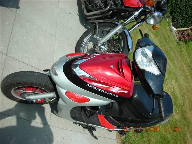 TMS classik 50cc billede 11