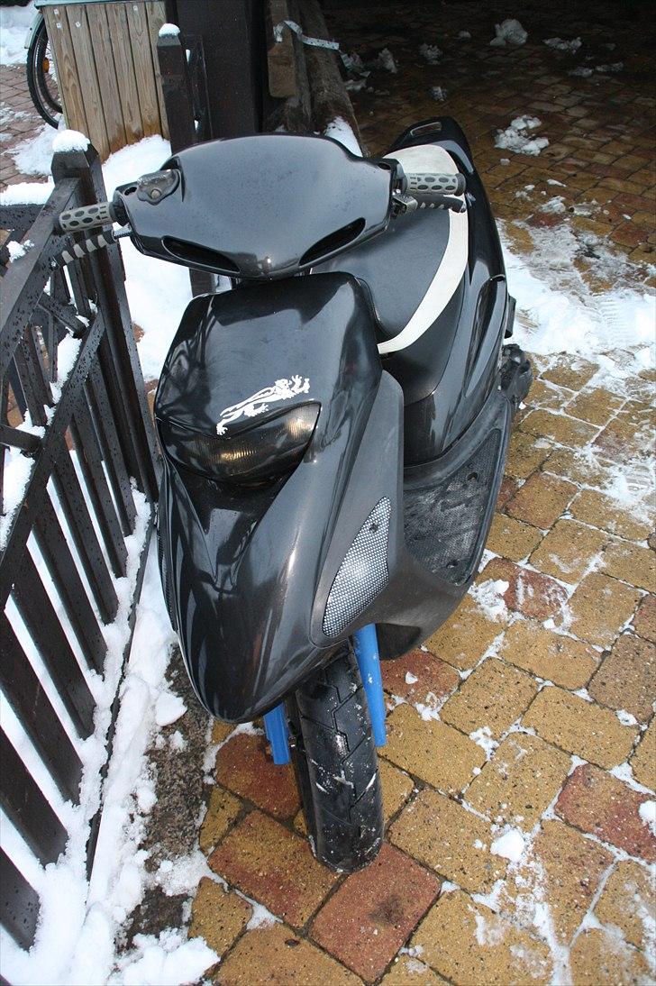 Honda Sfx - som den ser ud nu i 2011! billede 11