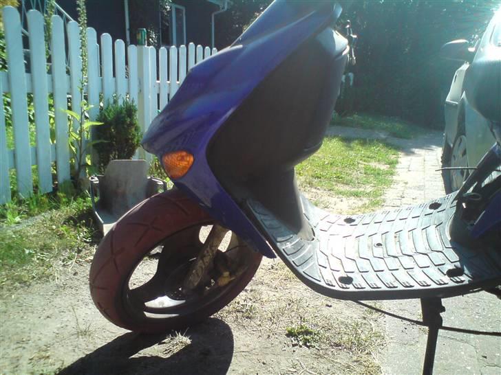 Adly Silverfox solgt.  billede 2