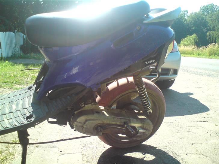 Adly Silverfox solgt.  billede 3