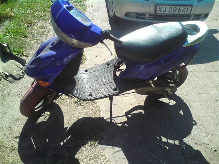 Adly Silverfox solgt.  billede 4