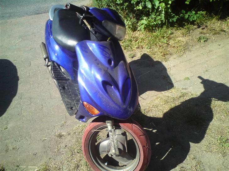 Adly Silverfox solgt.  - har ikk lige fået vasket den :D  billede 5