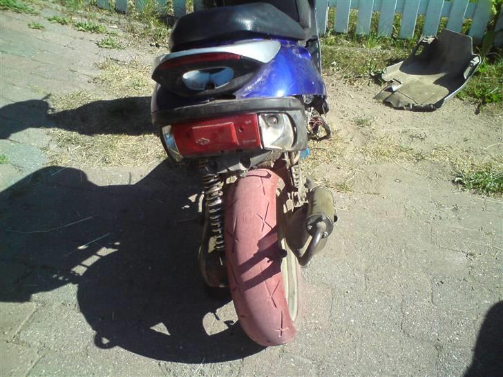 Adly Silverfox solgt.  billede 6