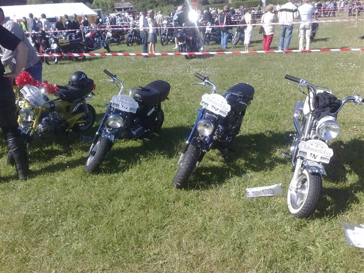 Honda Dax - fire på stribe til oldtimer i gråsten! billede 16