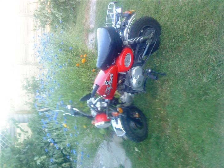 Skyteam monkey billede 4