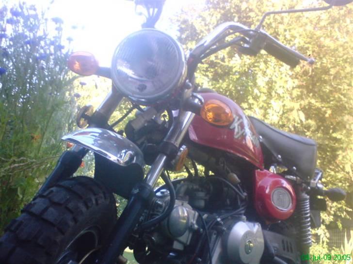 Skyteam monkey - lyset virker  billede 6