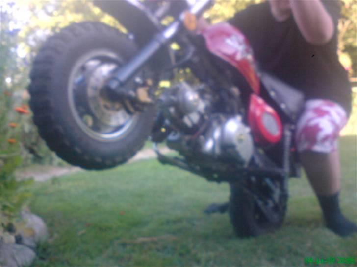 Skyteam monkey billede 10