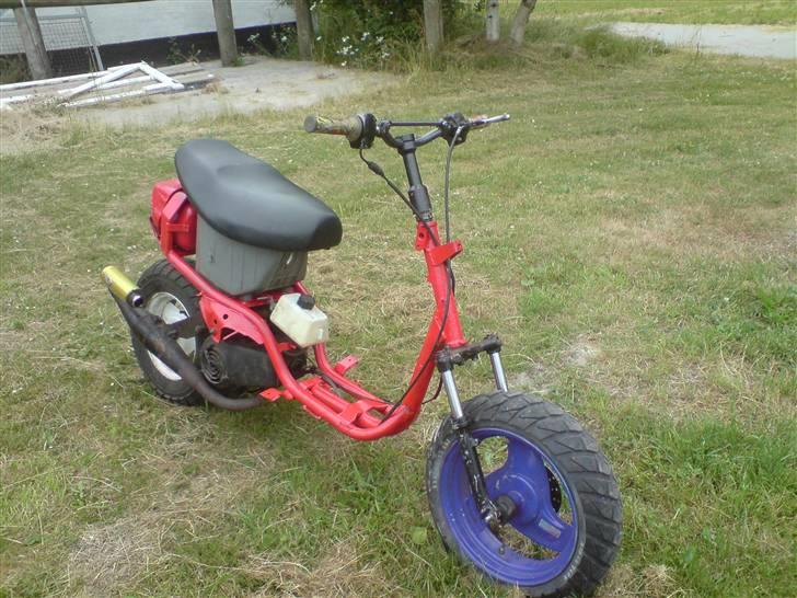 Adly silverfox/hot SOLGT billede 1