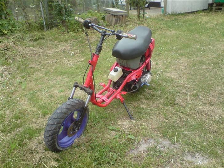 Adly silverfox/hot SOLGT billede 2