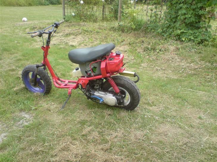 Adly silverfox/hot SOLGT billede 3