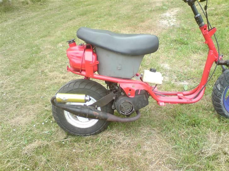 Adly silverfox/hot SOLGT billede 5