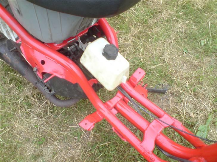 Adly silverfox/hot SOLGT billede 7